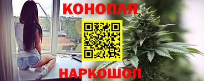прущие грибы Рыбинск