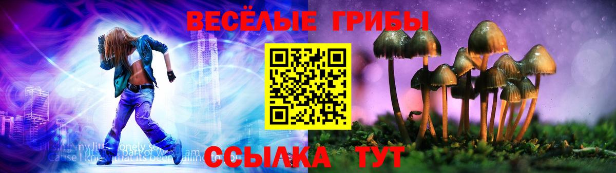 Сегежа  Псилоцибиновые грибы MAGIC MUSHROOMS  Вход с VPN  наркотики  Псилоцибиновые грибы прущие грибы 